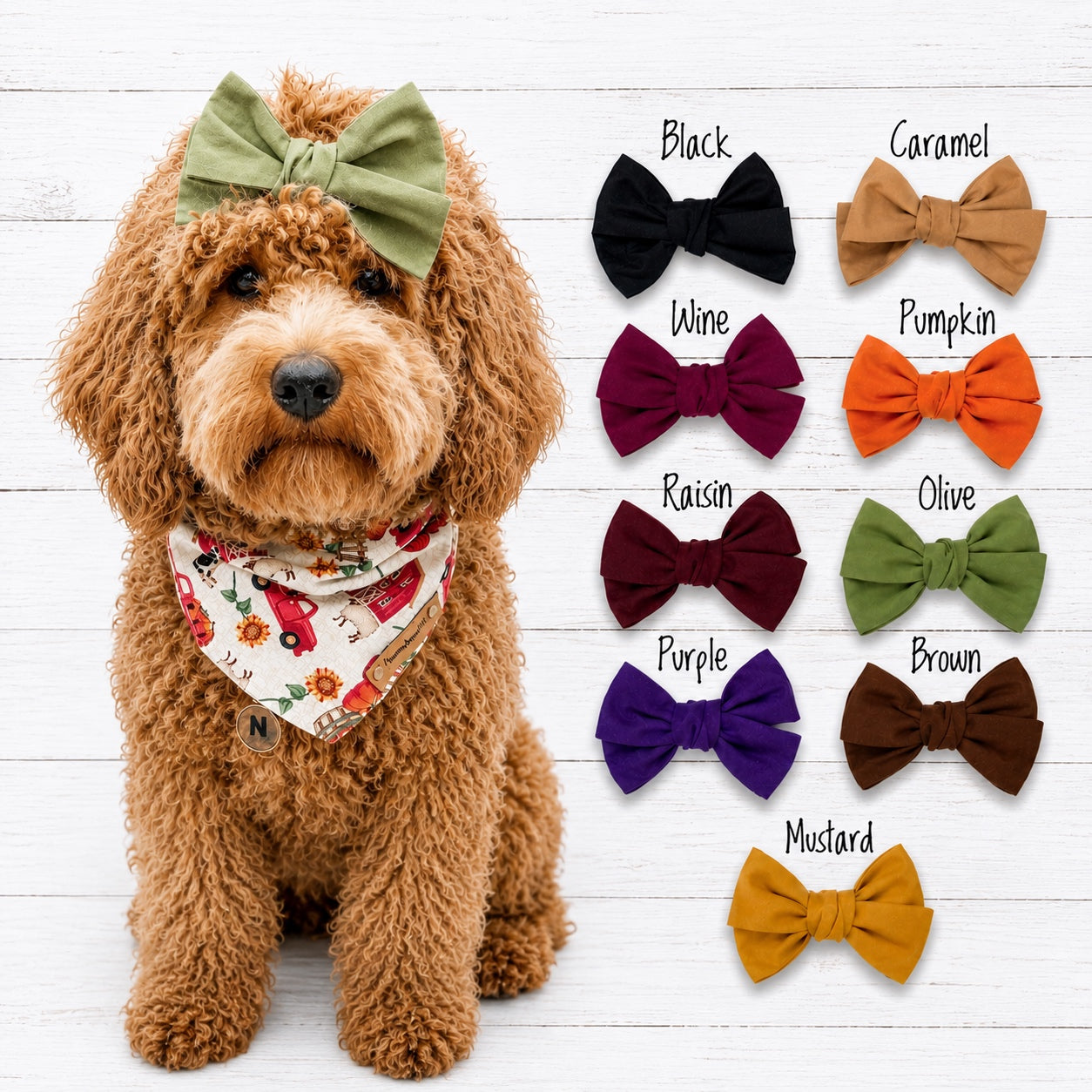 Pinwheel Dog Hair Bows