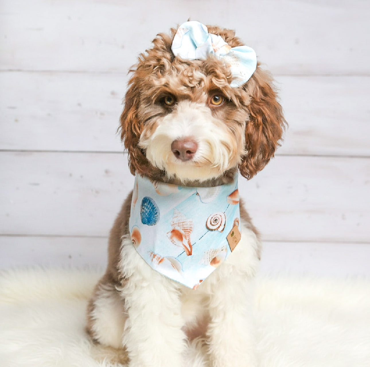 Seashells Dog Bandana