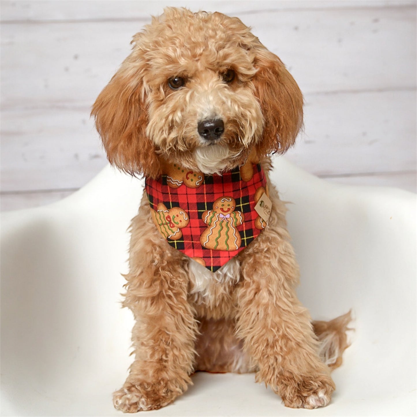 Gingerbread Plaid Dog Bandana