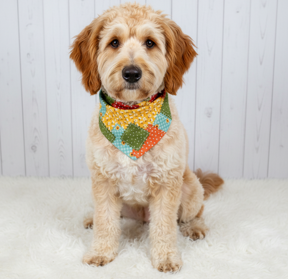 Fall Patch Dog Bandana