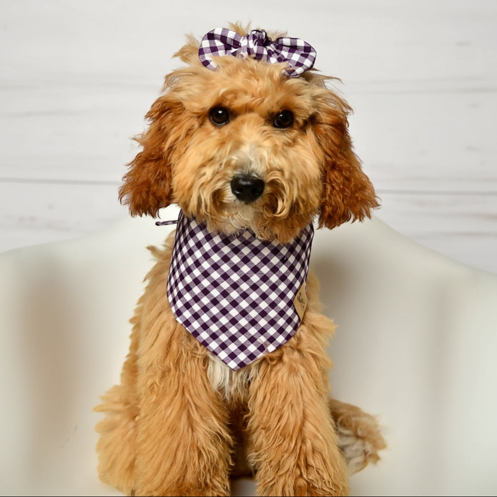 Raisin Gingham Check Dog Bandana