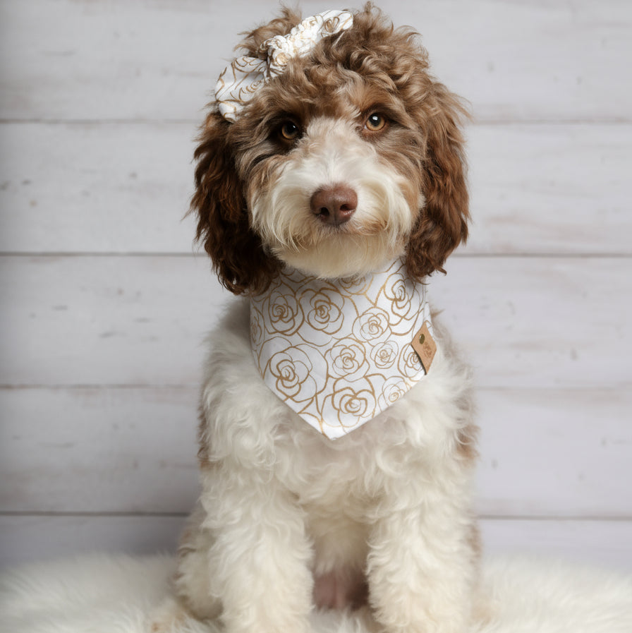 Gold Rose Dog Bandana