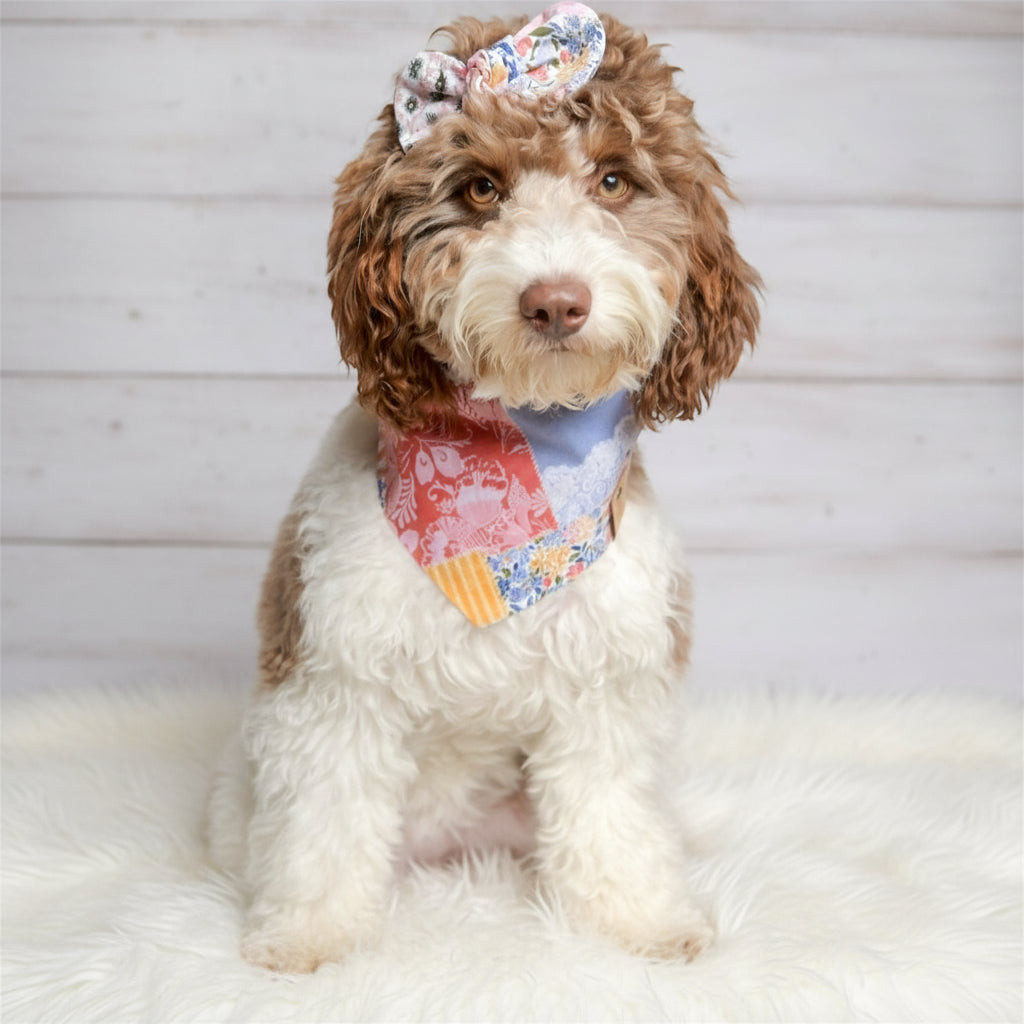 Boho Patch Dog Bandana