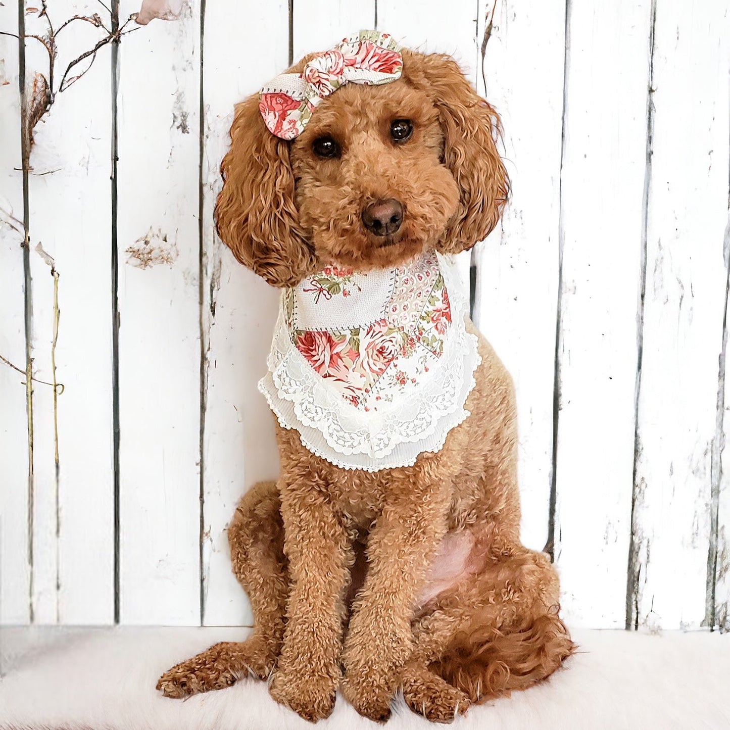 Small dog wearing white floral lace dog bandana with scalloped edge design
