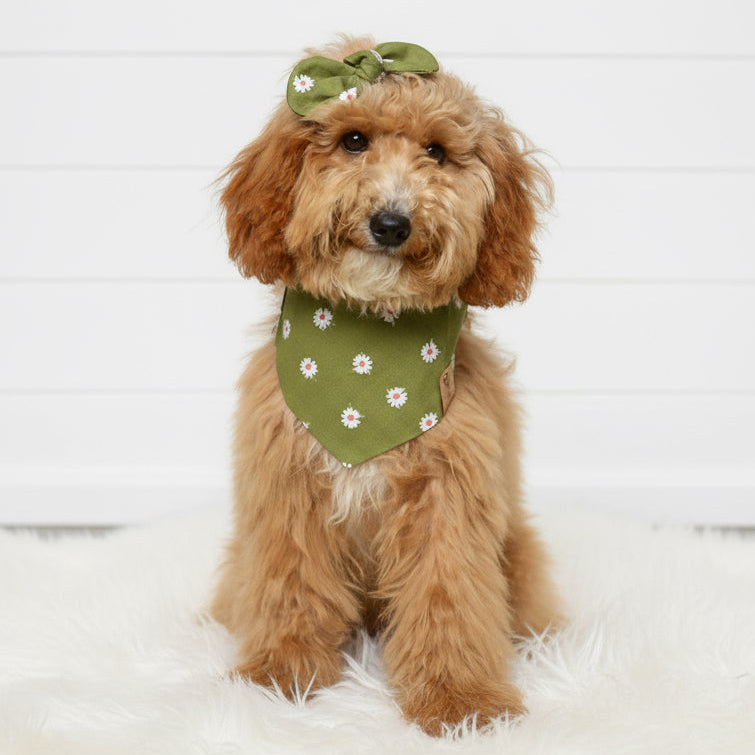 Olive Green Floral Dog Bandana