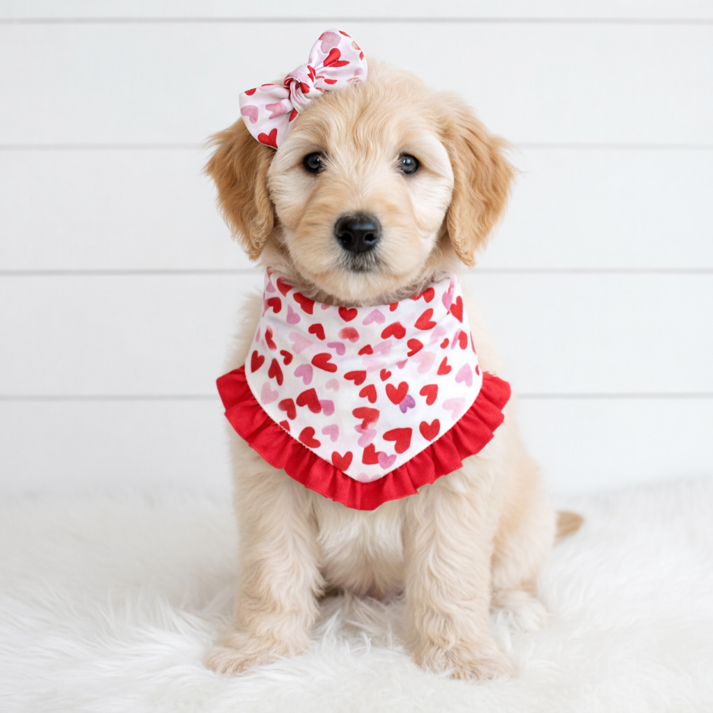 Valentine with Red Ruffles Dog Bandana