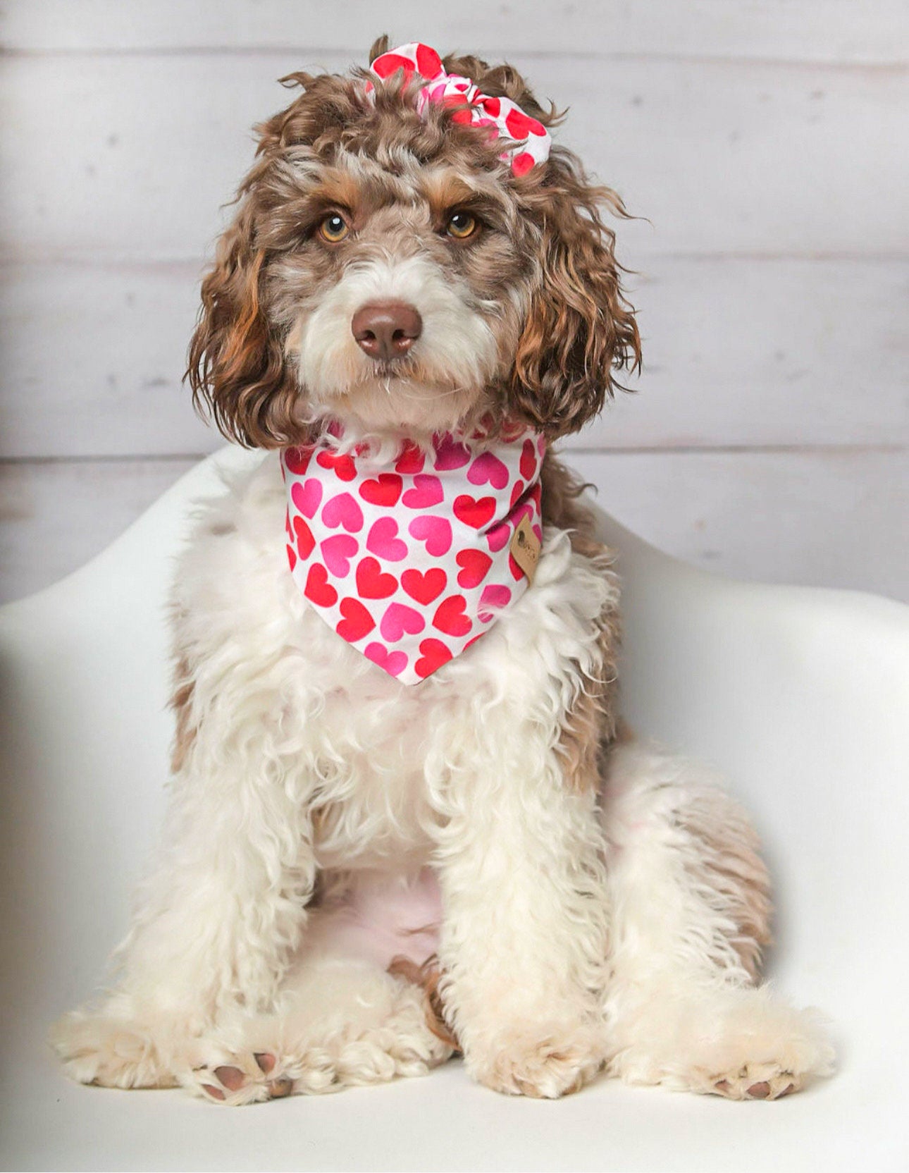 Valentine Hearts Dog Bandana
