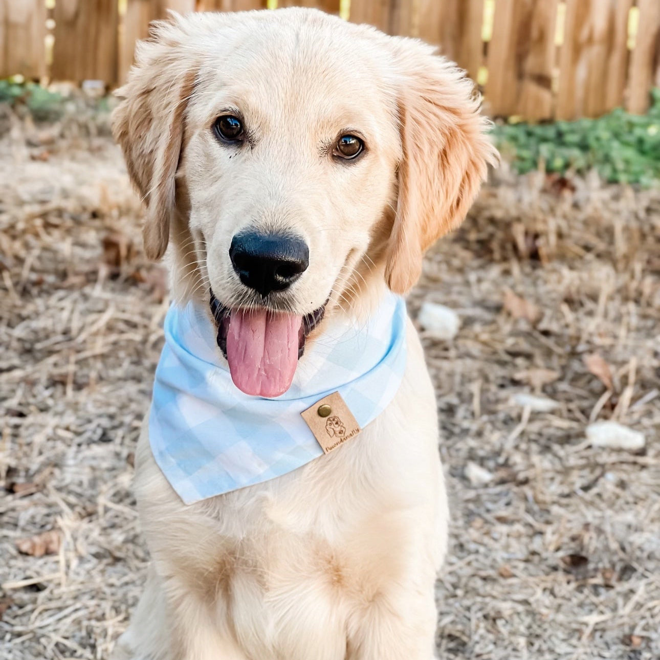 Light Blue Buffalo Plaid Dog Bandana