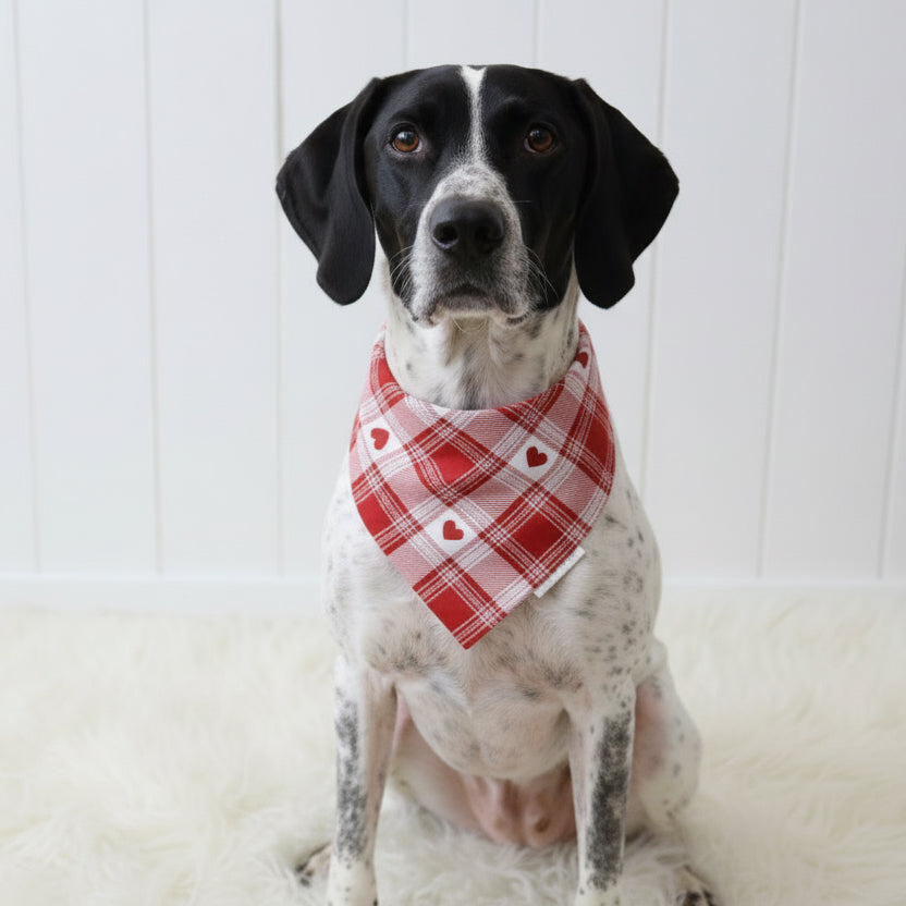 Plaid Valentine’s Dog Bandana