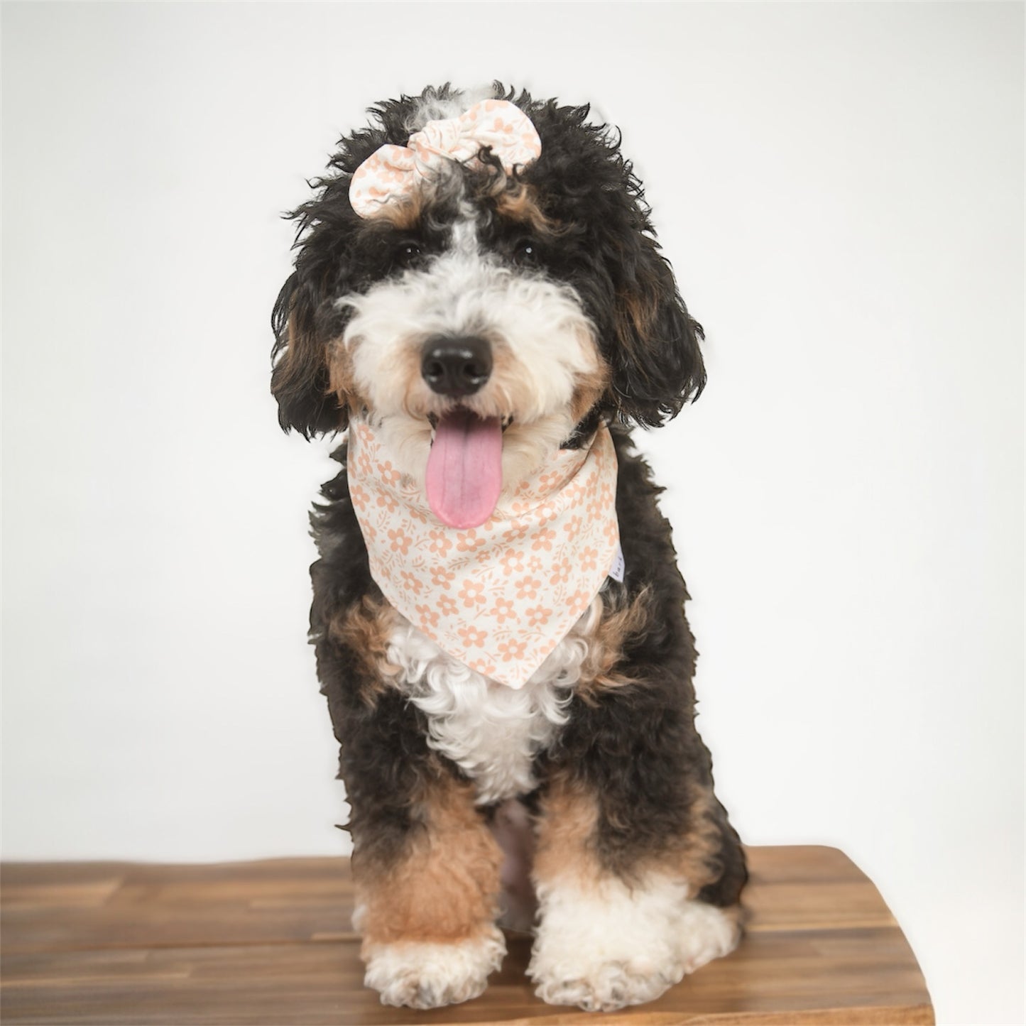 Peach Blush Dog Bandana