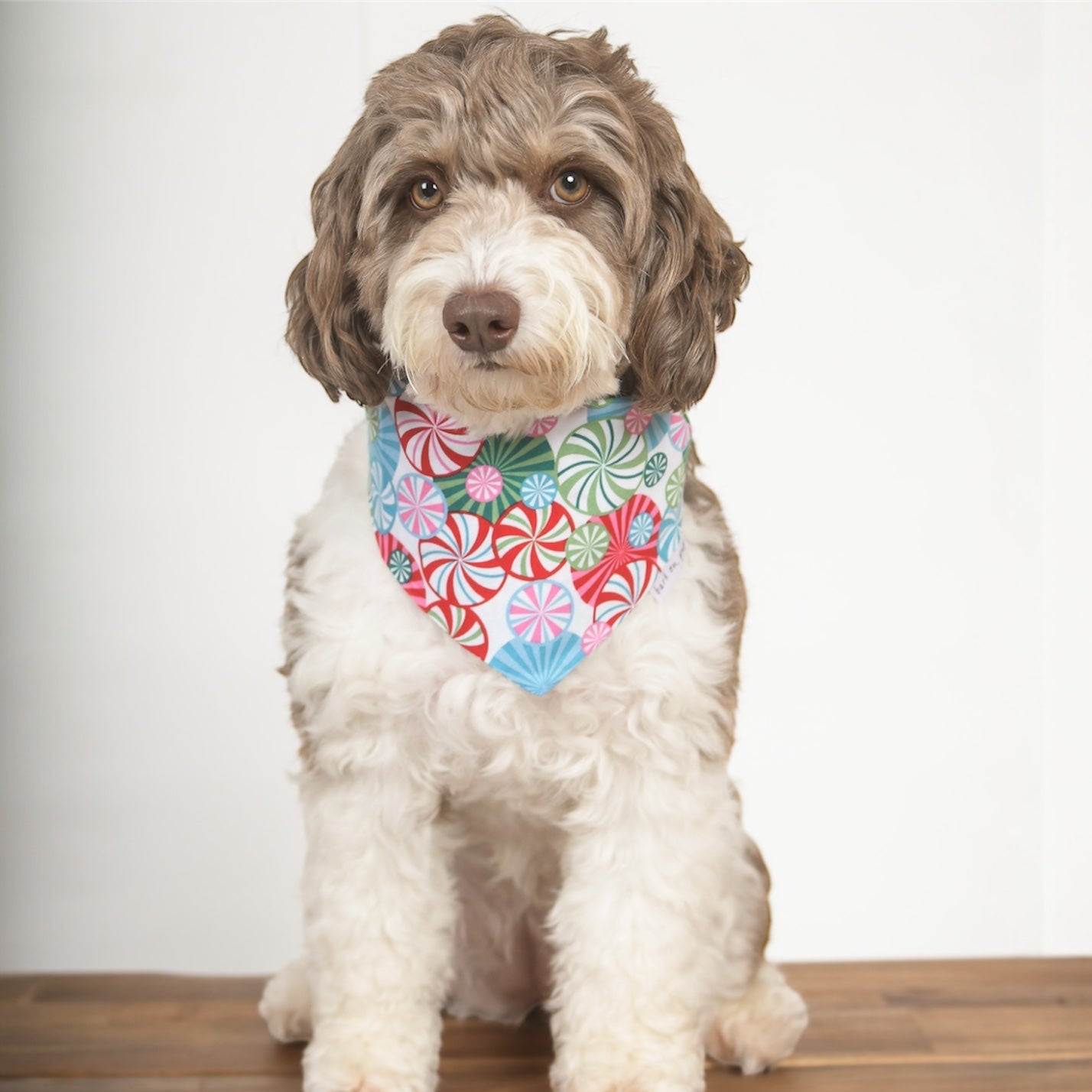 Peppermint Swirl Dog Bandana