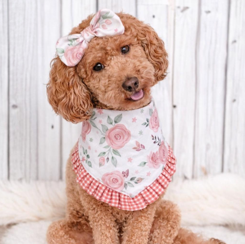 Pink Rose Ruffle Dog Bandana