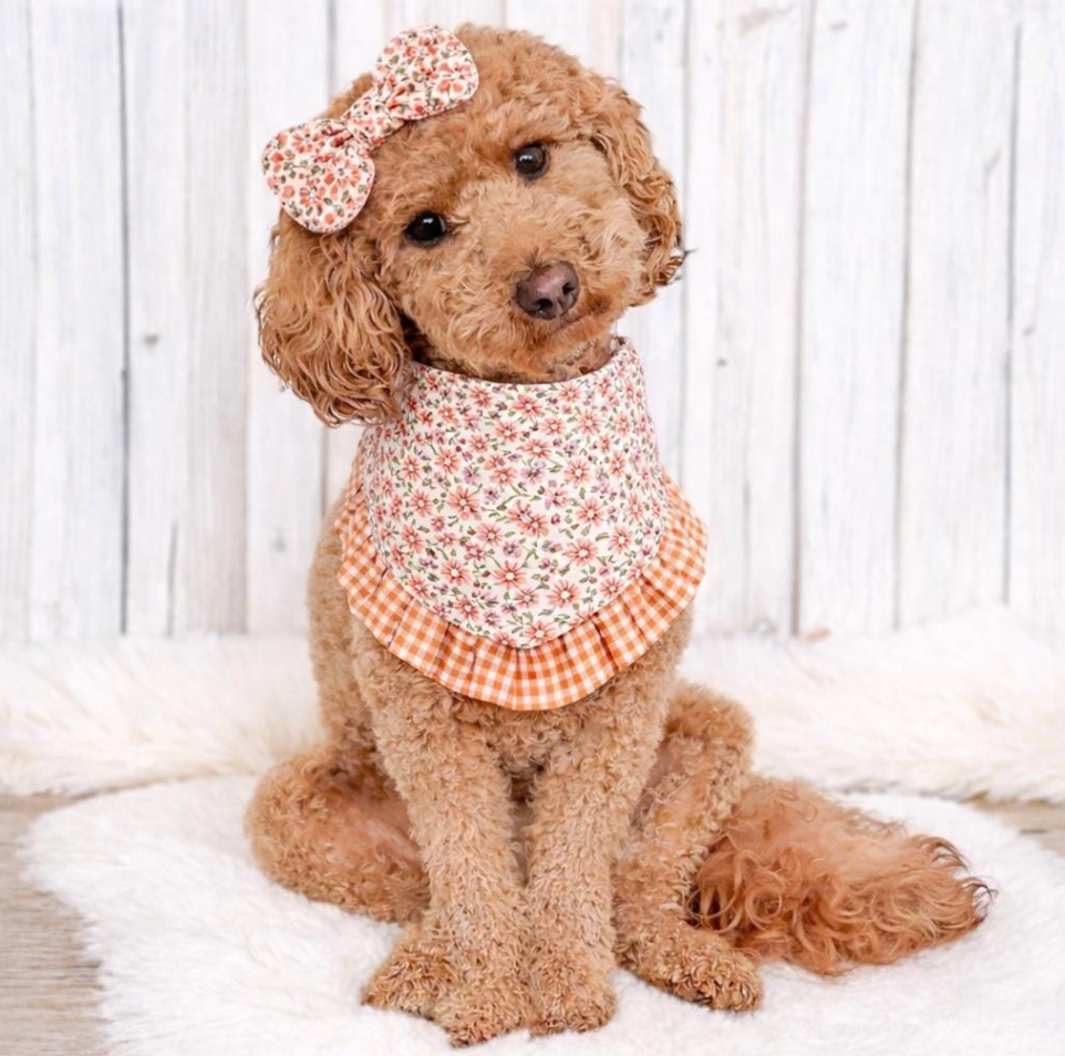 Peach Floral Ruffle Dog Bandana