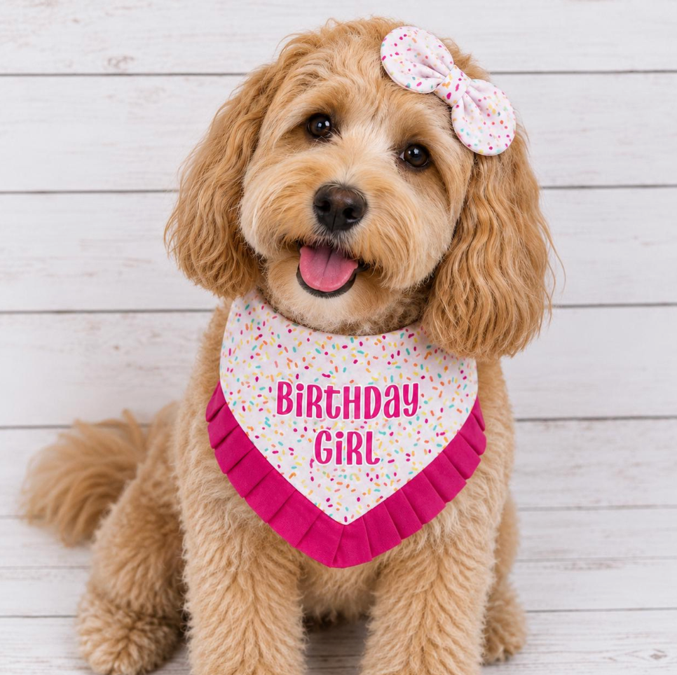 Birthday Girl Ruffle Dog Bandana