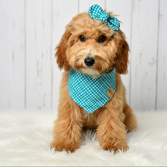 Teal Gingham Dog Bandana