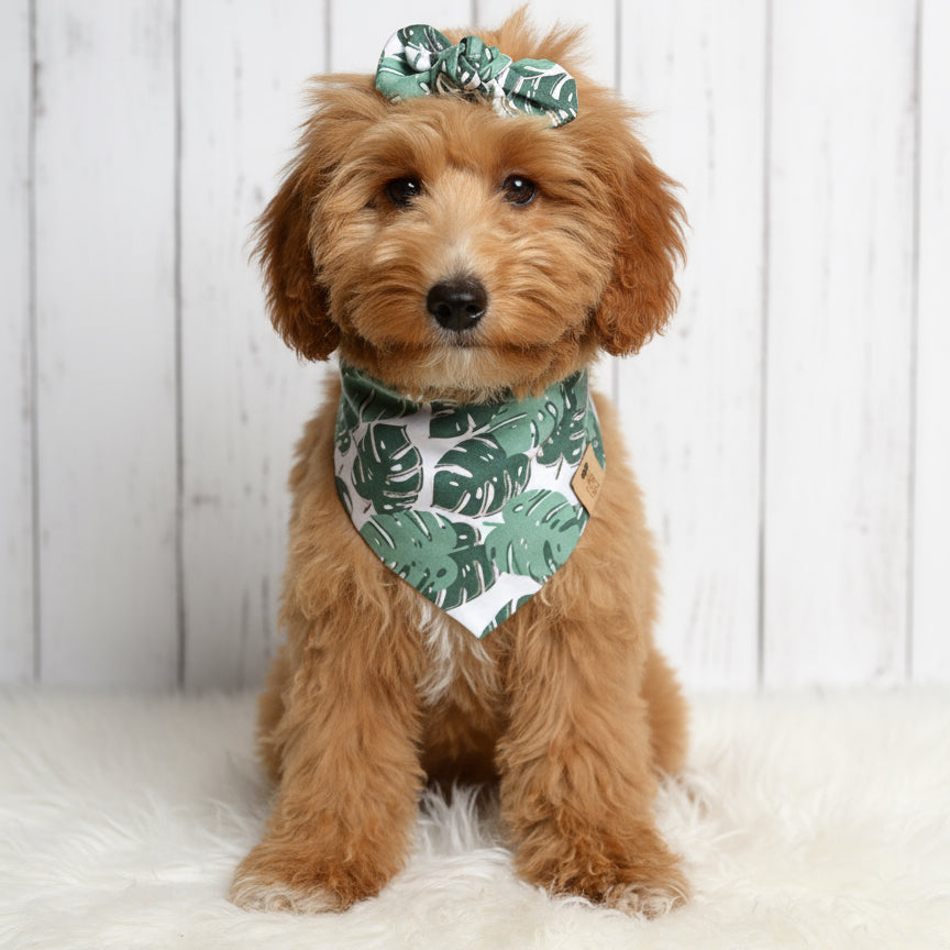 Monstera Leaves Dog Bandana