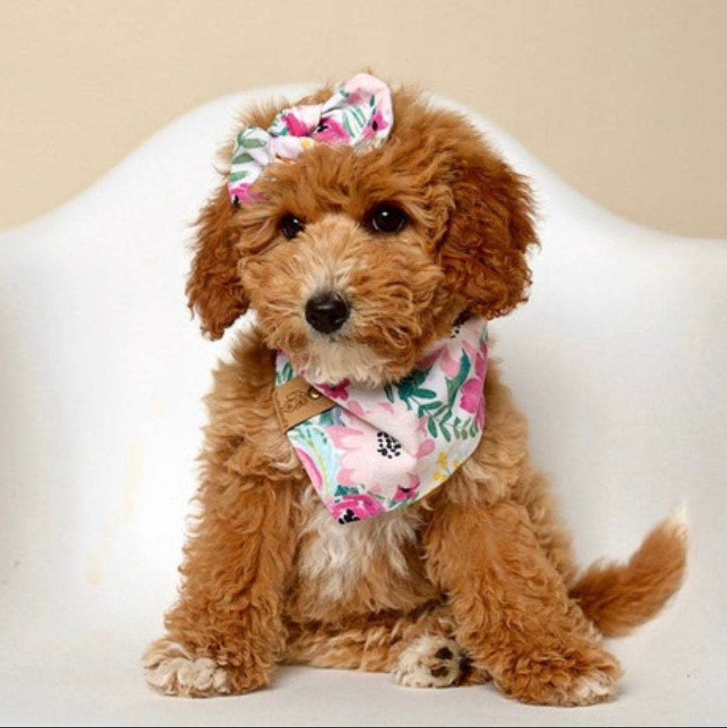 Bali Dog Bandana