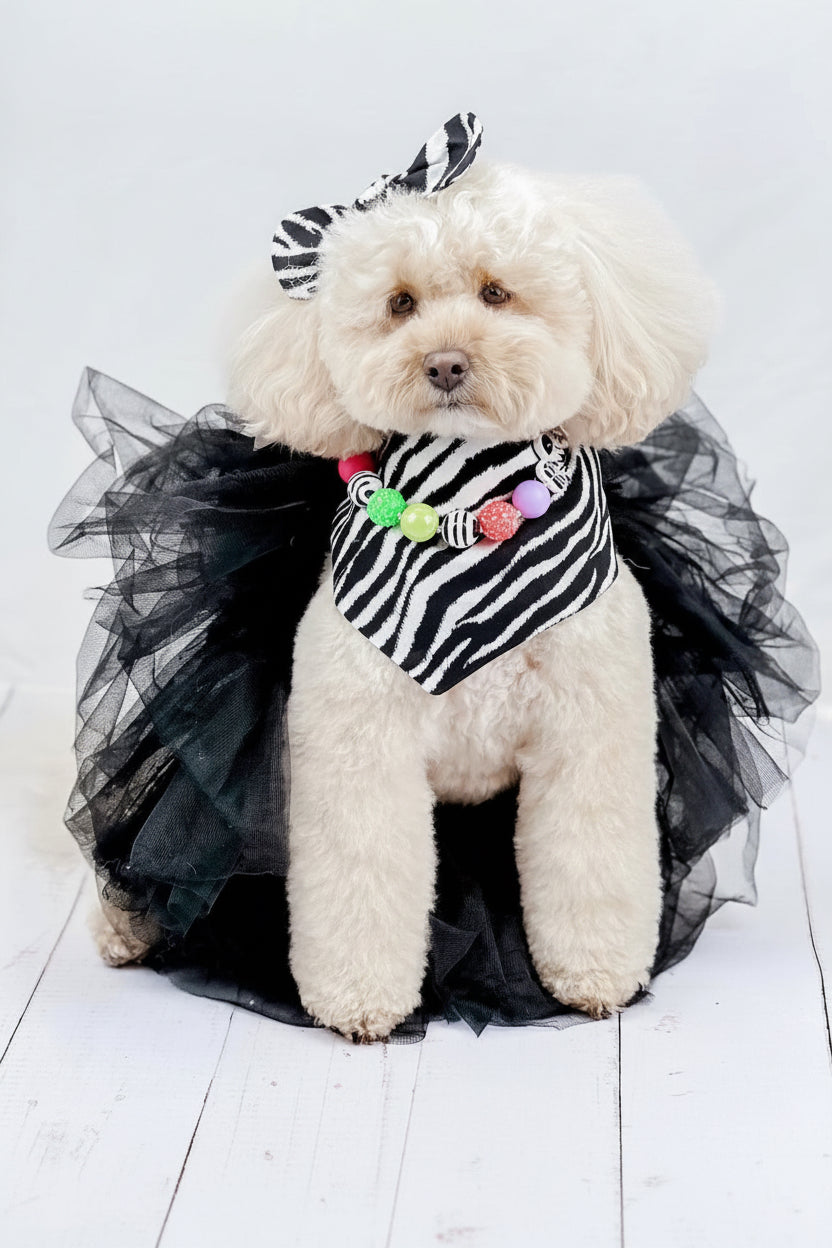 Zebra Dog Bandana