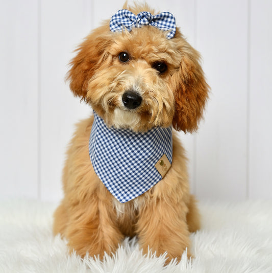 Denim Gingham Dog Bandana