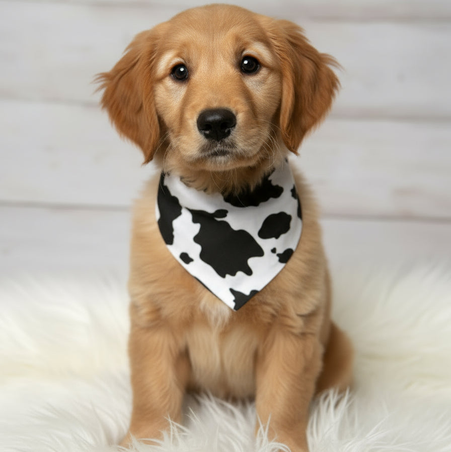 Cow Dog Bandana