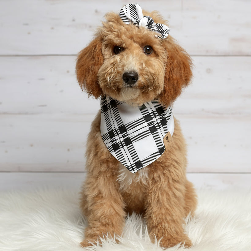 Black White Plaid Dog Bandana