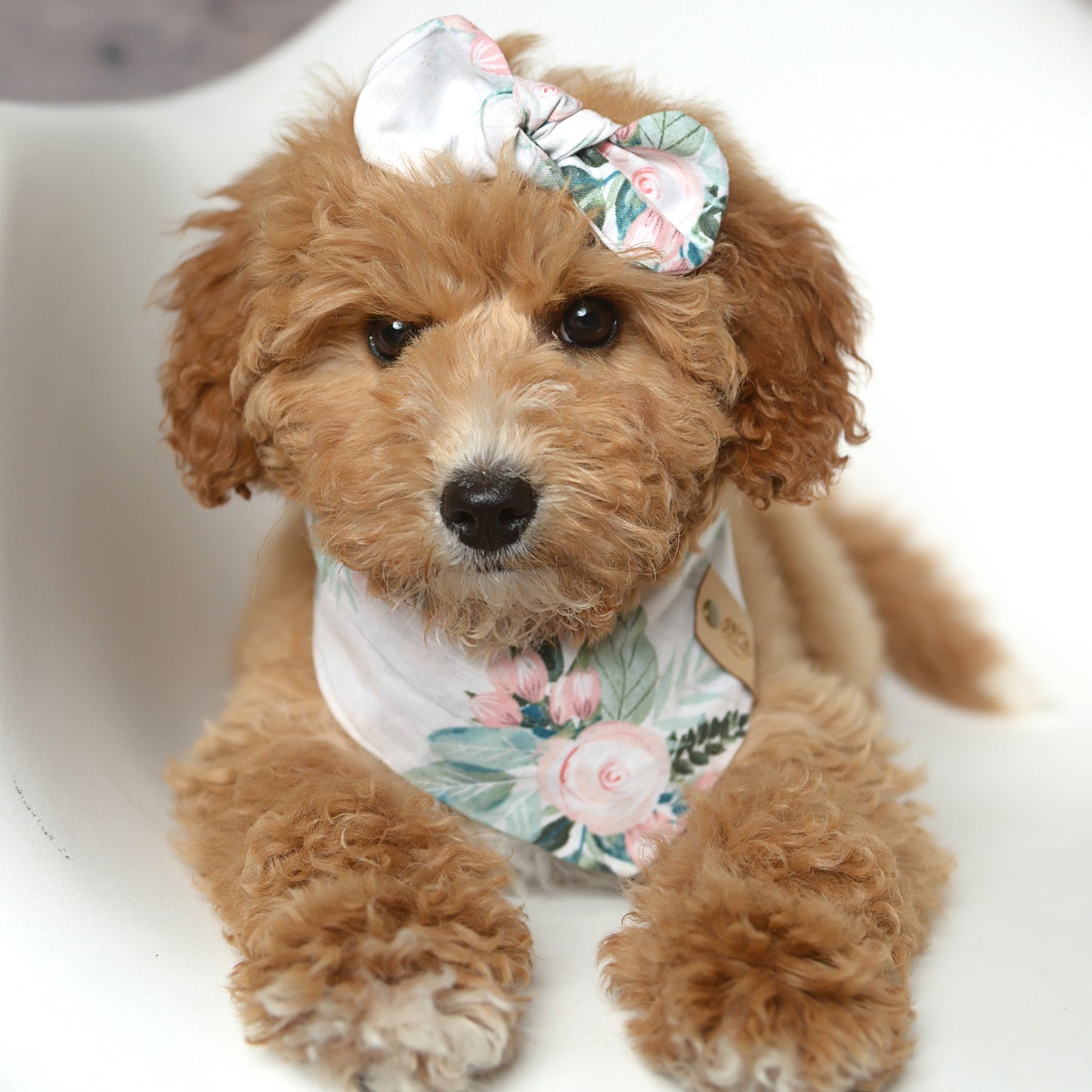Roses Dog Bandana