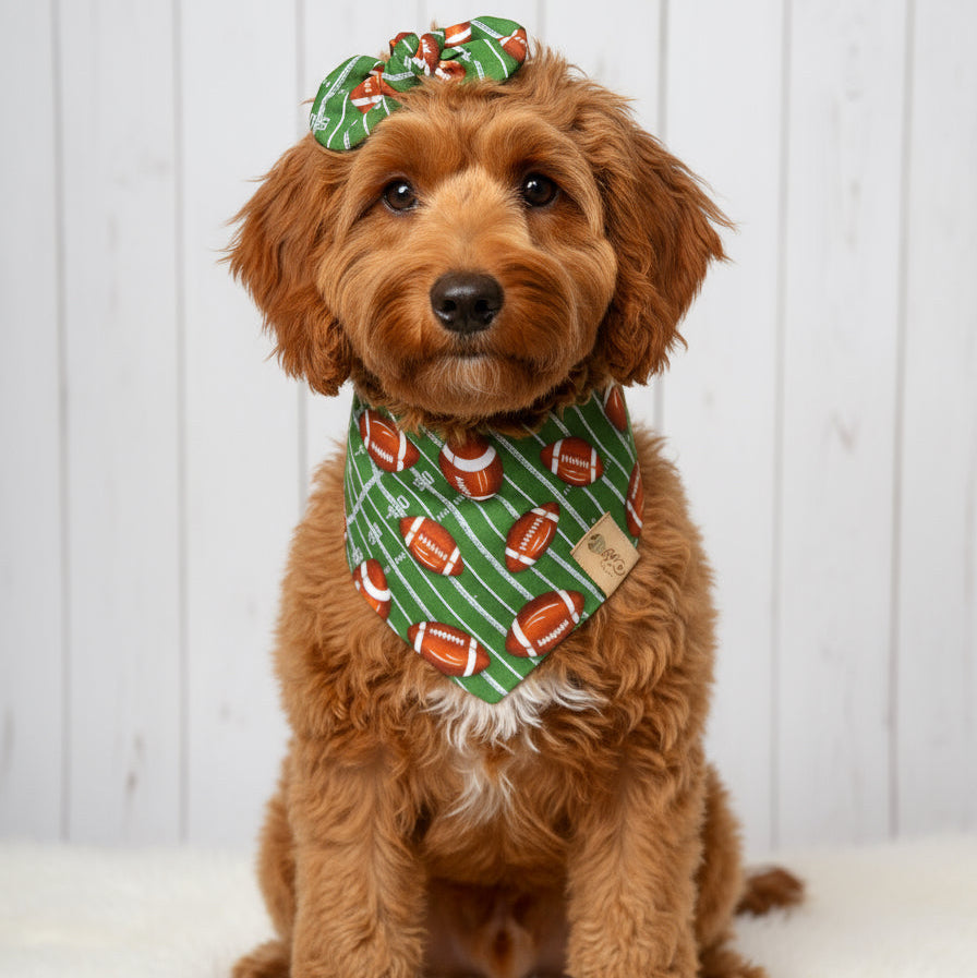 Football Dog Bandana