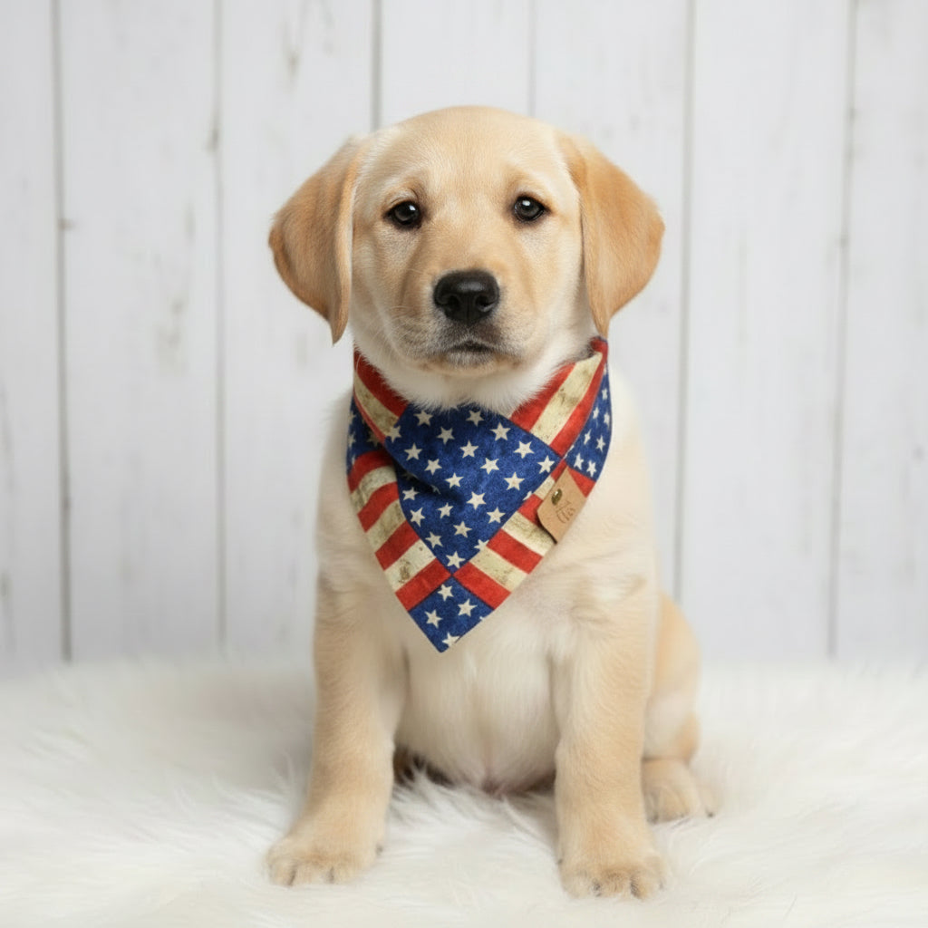 Patriotic dog bandana with red, white, and blue stars and stripes design.