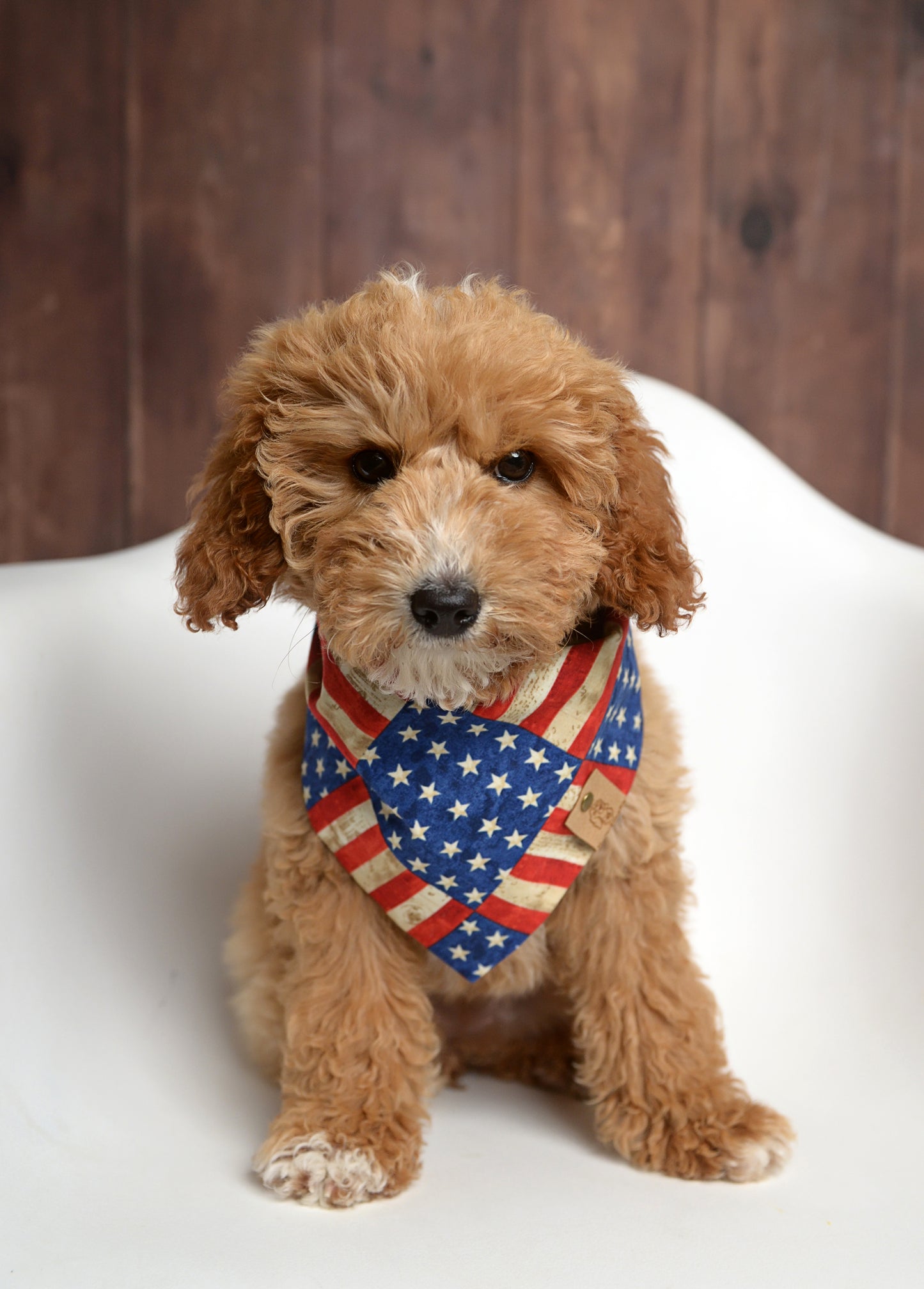 Patriotic dog bandana with red, white, and blue stars and stripes design.