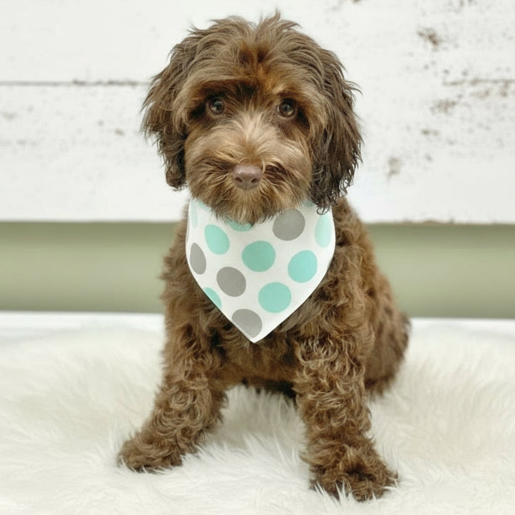 Light Teal Polka Dog Bandanas