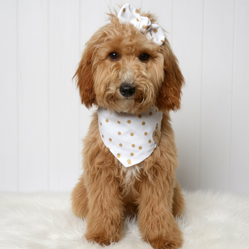 White Gold Dottie Dog Bandana