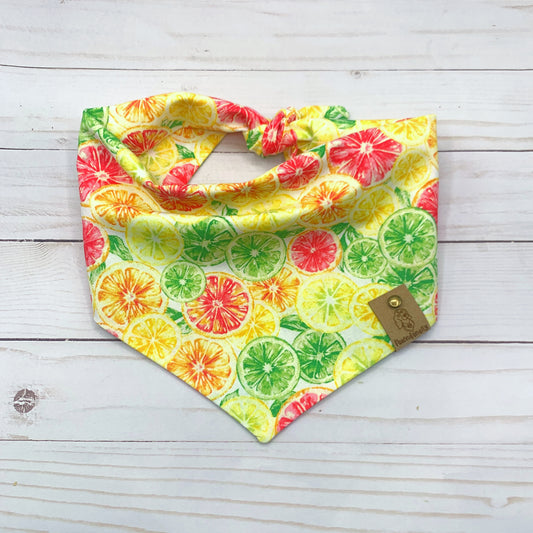 Citrus Dog Bandana
