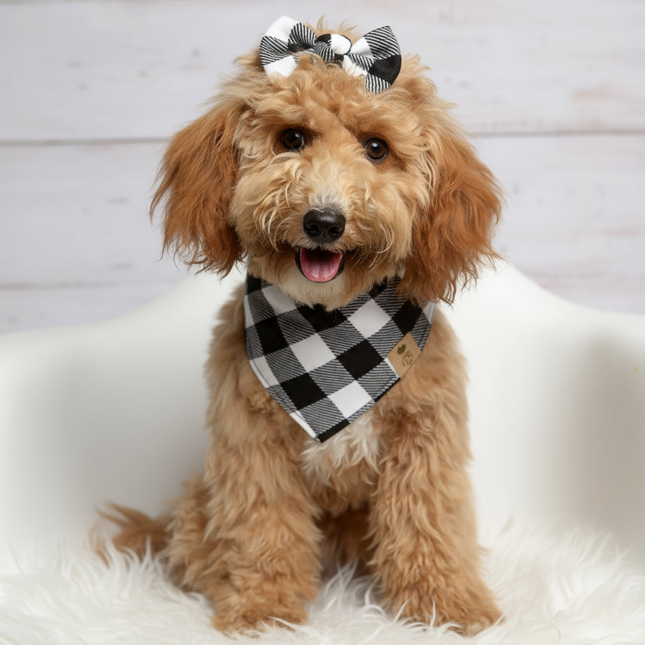 Gray & Black Plaid Dog Bandana