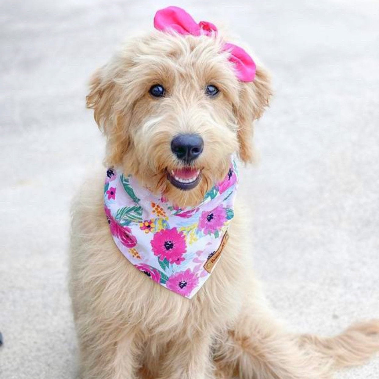 Floral Cotton Dog Bandana - Bali Bandana