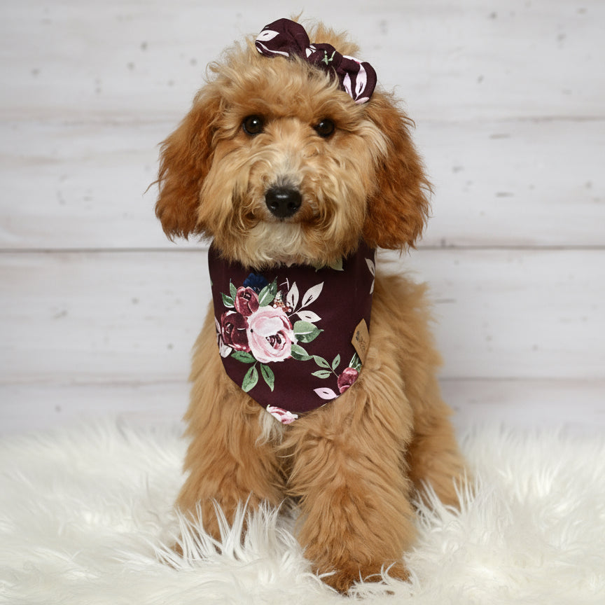 Berry Rose Dog Bandana