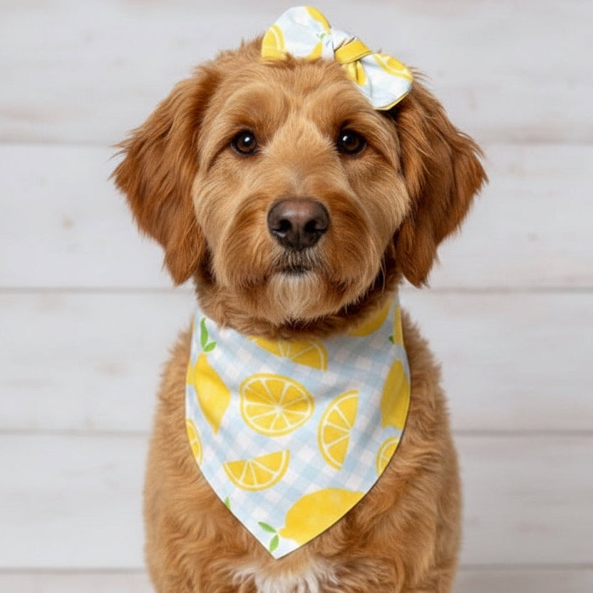 Lemon Gingham Dog Bandana