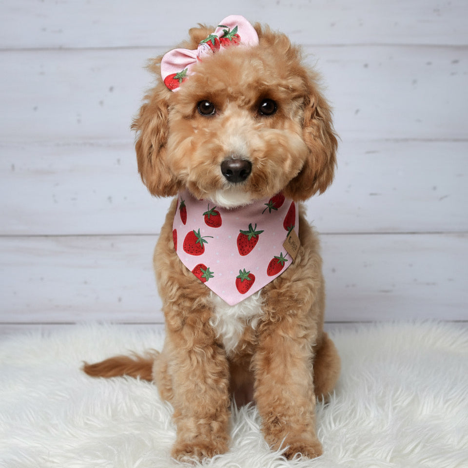 Strawberry Dog Bandana