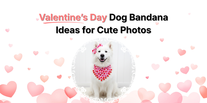 Valentine’s Day Dog Bandana Ideas for Cute Photos