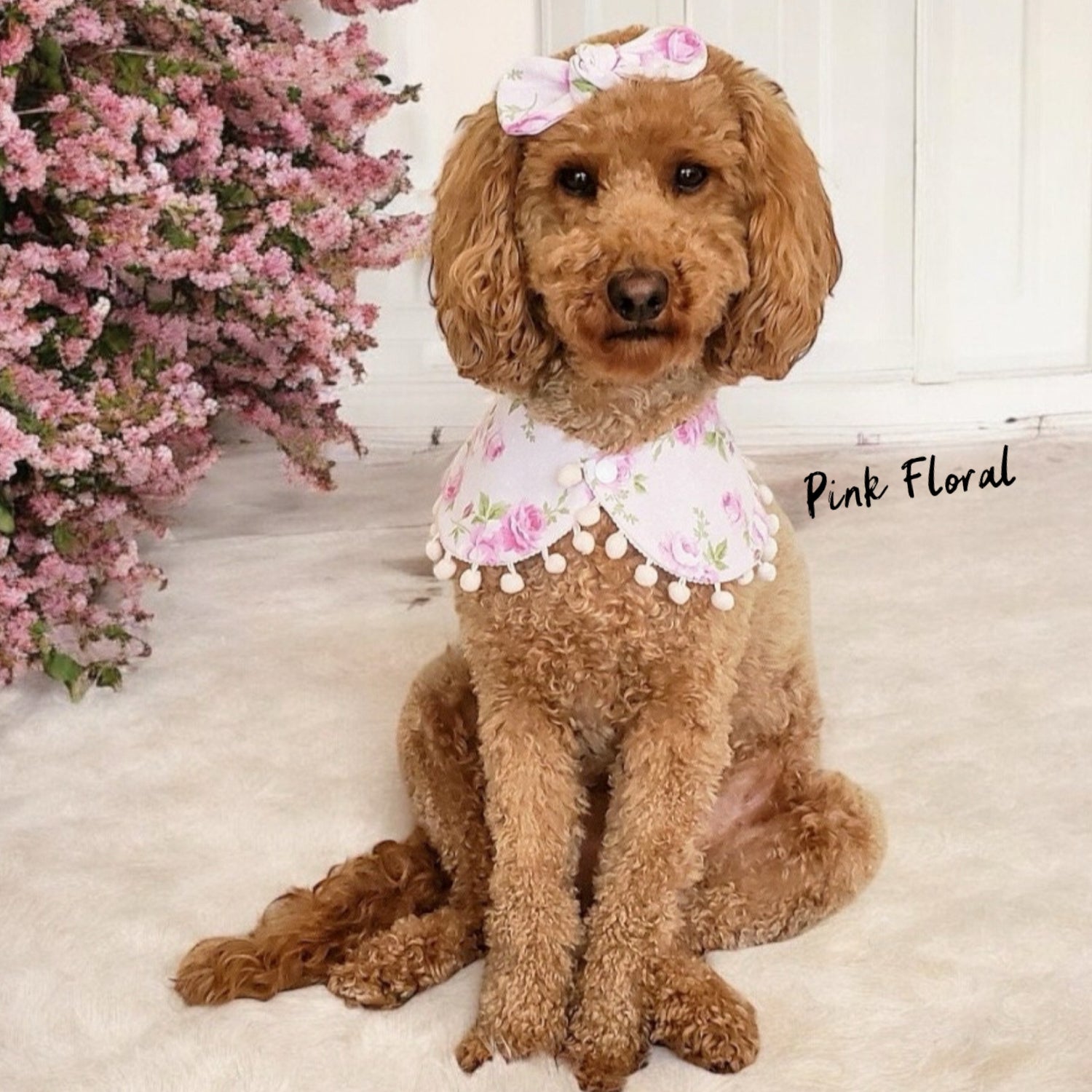 Cape Bandanas for Girls