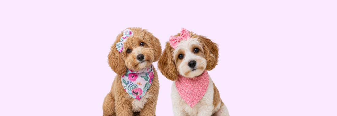Floral Bandanas