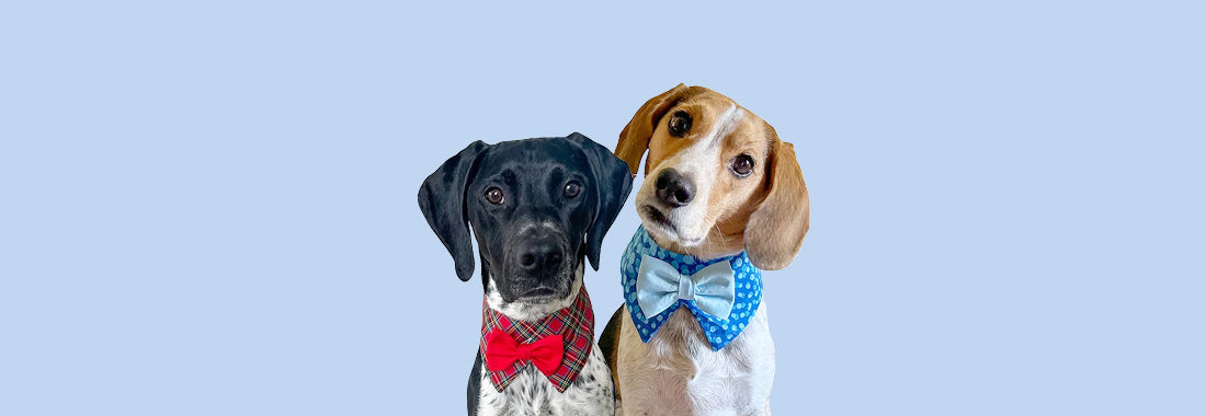 Tuxedo Bow Ties