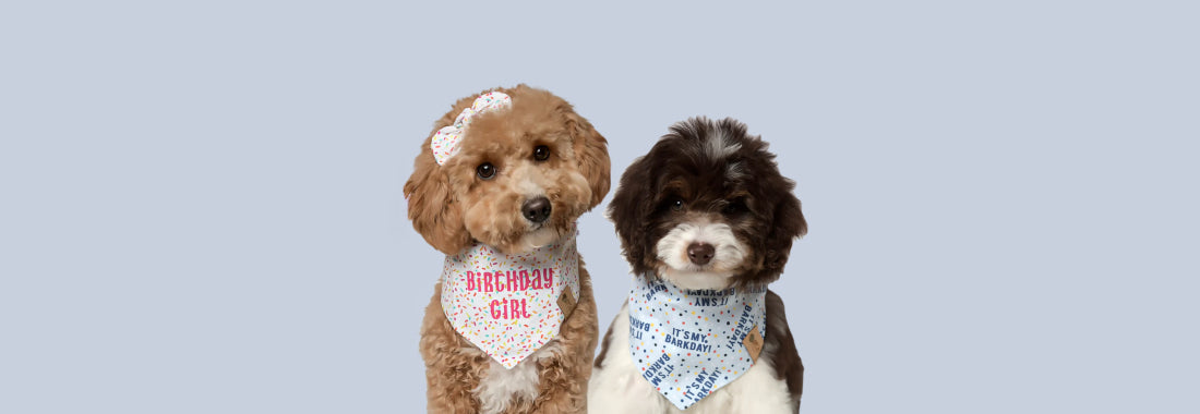 Birthday Bandanas