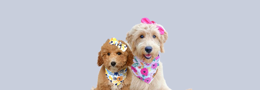 Floral Bandanas