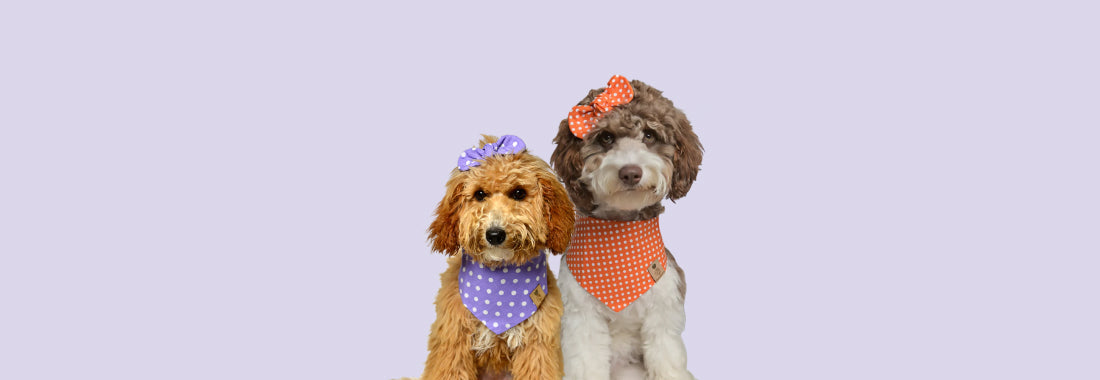 Polka Dot Bandanas