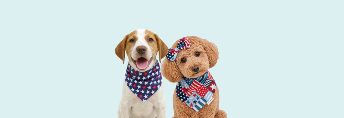 Dog wearing American flag patriotic bandana – 4th of July pet gear