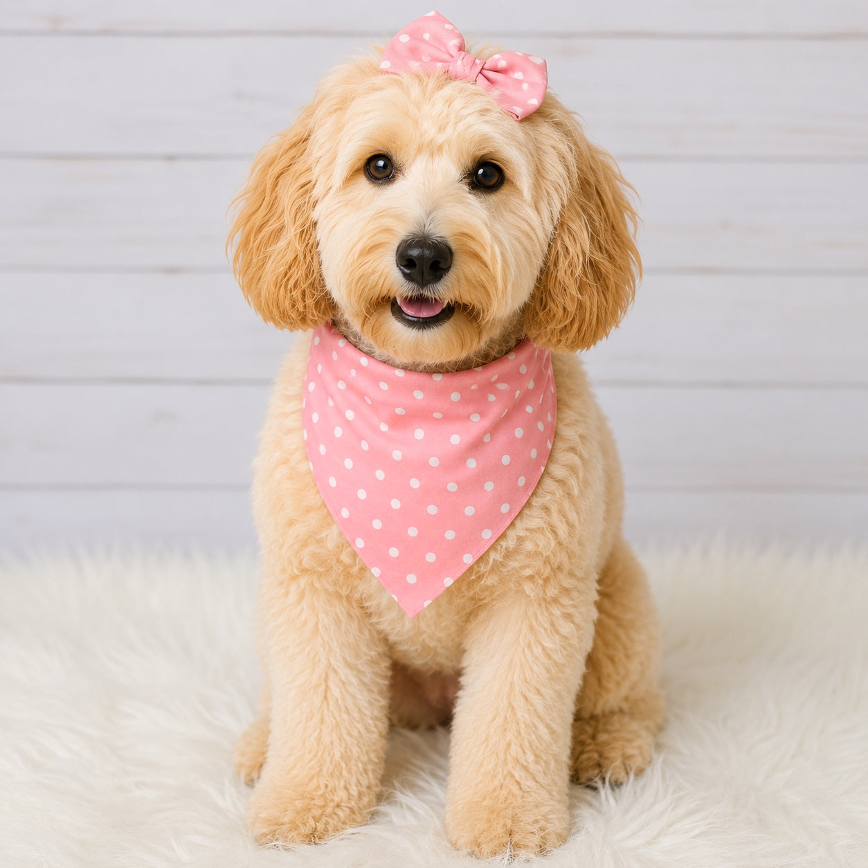 Rose Dot Dog Bandana