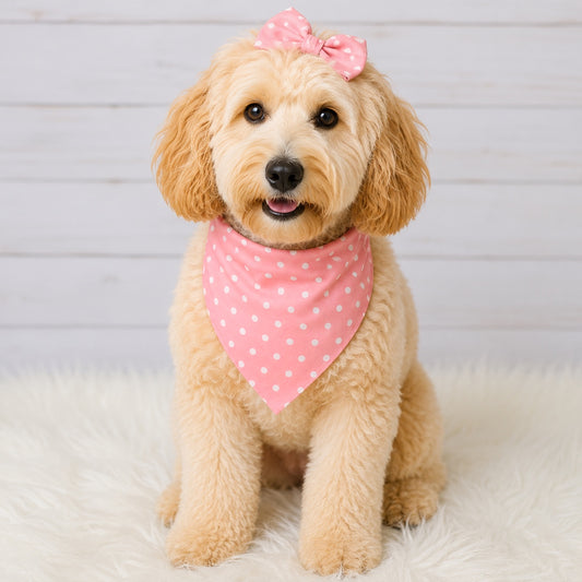 Rose Dot Dog Bandana
