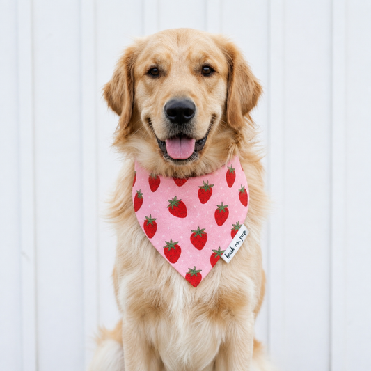 Strawberry Dog Bandana