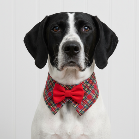 Red Plaid Dog Tuxedo Bow Tie Collar for Boys