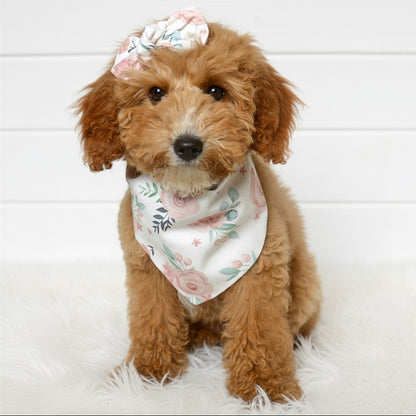 Pastel Rose Dog Bandana